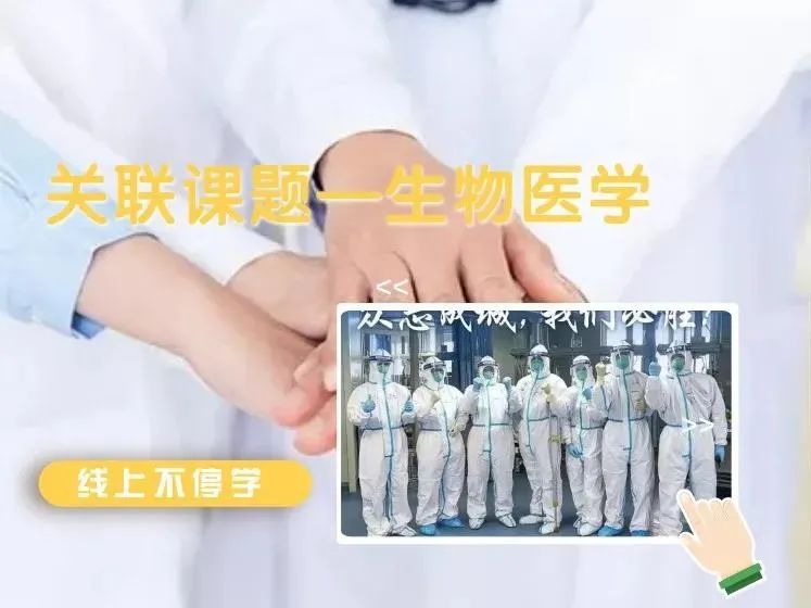 浙江省十二校新高考研究聯盟_研究性課題研究報告高中生怎么寫_課題性研究開題報告