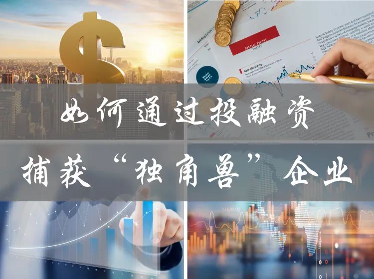研究性課題研究報告高中生怎么寫_課題性研究開題報告_浙江省十二校新高考研究聯盟