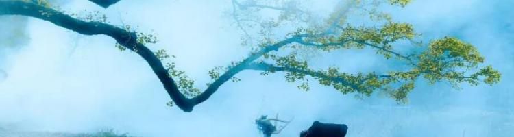 惟有蜻蜓蛺蝶飛的上一句怎么寫 日長籬落無人過的下一句是什么