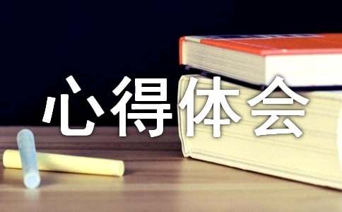 親子活動(dòng)的感悟怎么寫 親子活動(dòng)的心得體會(huì)