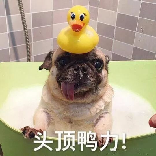 論文不會寫怎么抄_大家寫論文會抄別人的論文嗎_論文能抄