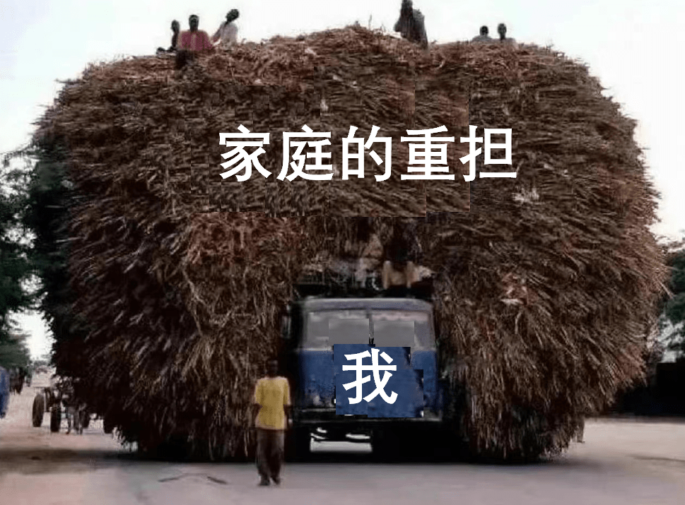 論文進度安排怎么寫_進度論文安排寫什么_論文進度安排模版