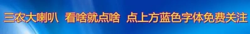 西瓜的瓜怎么寫 西瓜田間咋管理？這里寫的真詳細！