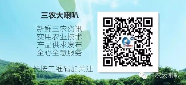 西瓜西瓜的瓜字怎么寫_西瓜的瓜怎么寫_瓜西瓜西瓜