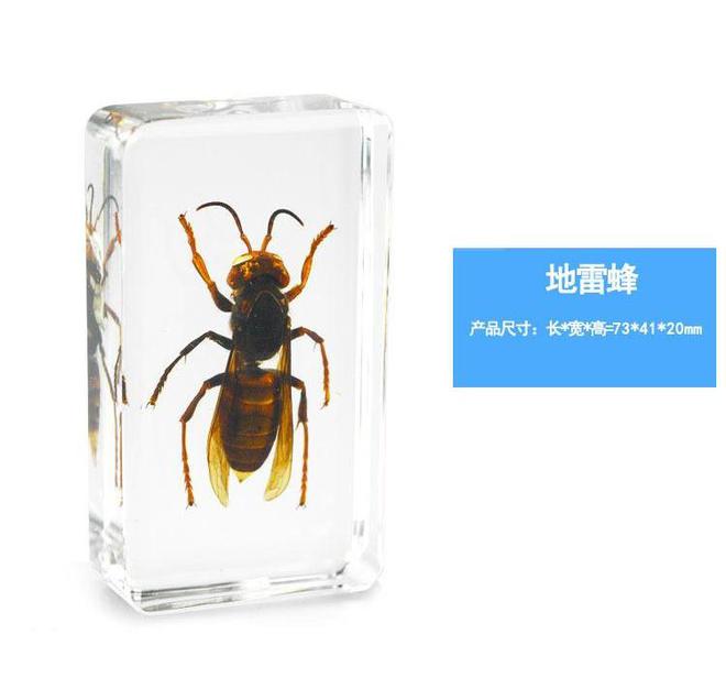 蜜蜂一文_蜜蜂蜜蜂弟_蜜蜂的蜂怎么寫