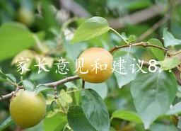 家長建議怎么寫最簡單有用20字 家長意見和建議8篇