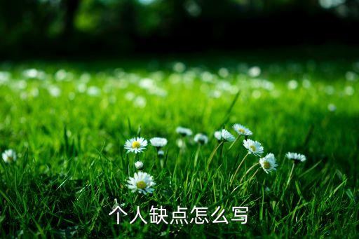 自我缺點(diǎn)怎么寫 個(gè)人缺點(diǎn)怎么寫，個(gè)人缺點(diǎn)怎么寫