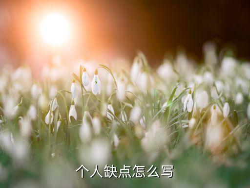 個人缺點怎么寫