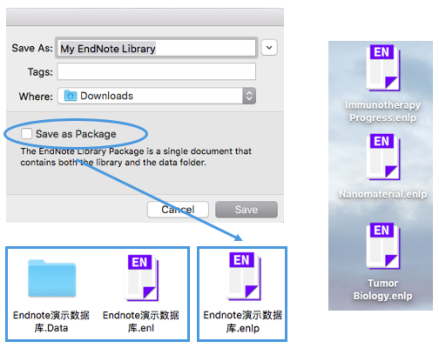 參考文獻的格式怎么寫圖片 除了引用參考文獻，Endnote 這個強大的功能很多人不知道！