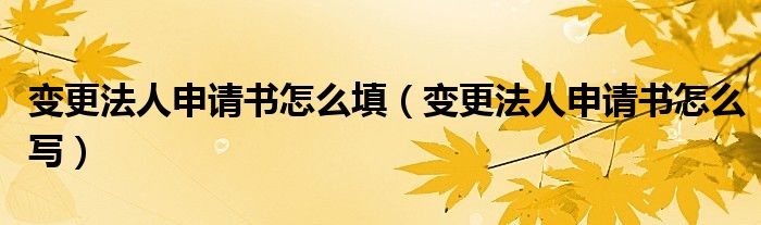 變更法人申請書怎么填（變更法人申請書怎么